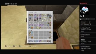 すぐ死んじゃう人のマインクラフト　その29