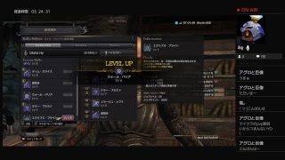 マインクラフトじゃないよ！DDONだよ！