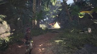 （モンスターハンター）初見プレイキャラ選択