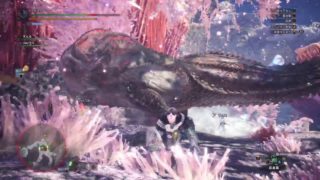 モンスターハンター：ワールド_##101_イビルジョー_片手剣