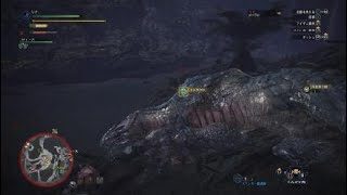 モンスターハンター：ワールド　BTS