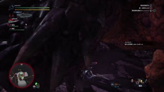 ＃37［LIVE:モンスターハンターワールド］うなずきながらずっとくるぶしをかいていた