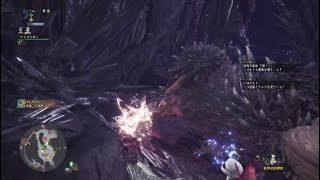 モンスターハンター：ワールド ネルギガンテ エンジョイ勢ソロハンマー