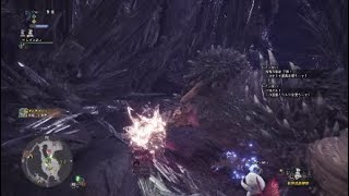 モンスターハンター：ワールド ネルギガンテ エンジョイ勢ソロハンマー