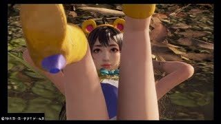 辛憲英くまーーあれこれ集　真三國無双8