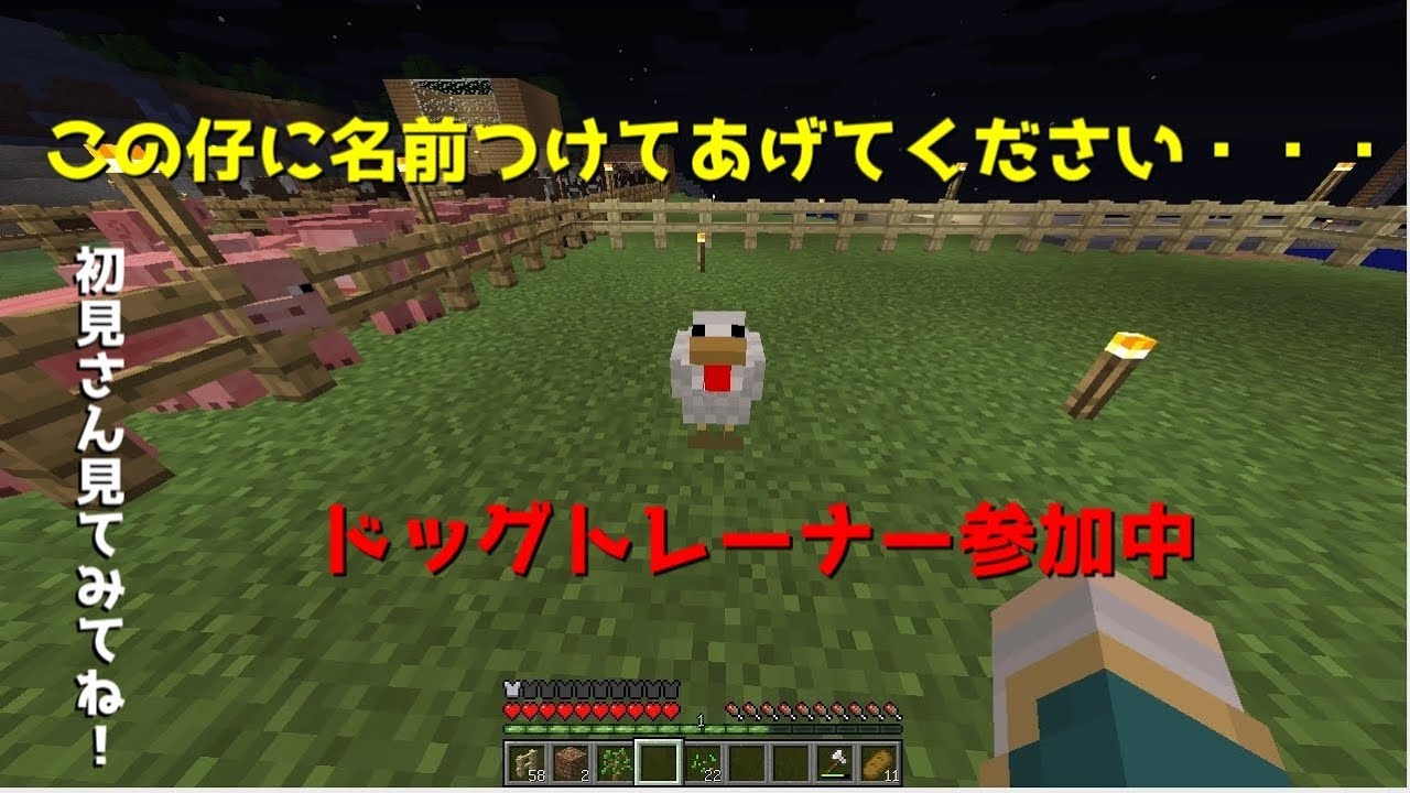 やっと来てもらいました！【マインクラフト】家建てる予定は未定【初見さんいらっしゃい】