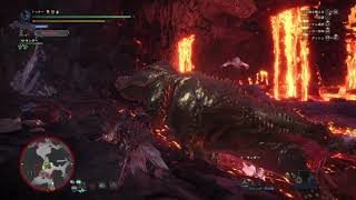 モンスターハンターワールドトッチー死す_下手くそがイビルジョー歴戦なめてるとこうなるpart1　(初見）