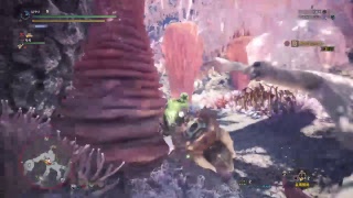 [MHW] モンスターハンターワールド　金冠限界サイズコンプへの道＃６[垂れ流し]