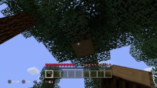 マインクラフト！ｶｼｽとｶﾙｱでどこまで行けるかな？チャレンジ！