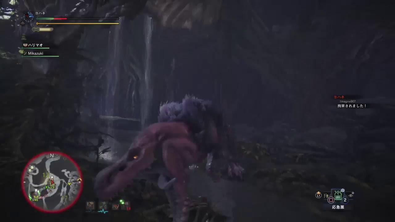 モンスターハンターワールド　のんびり～