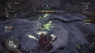 モンスターハンター：ワールド_20180401022833