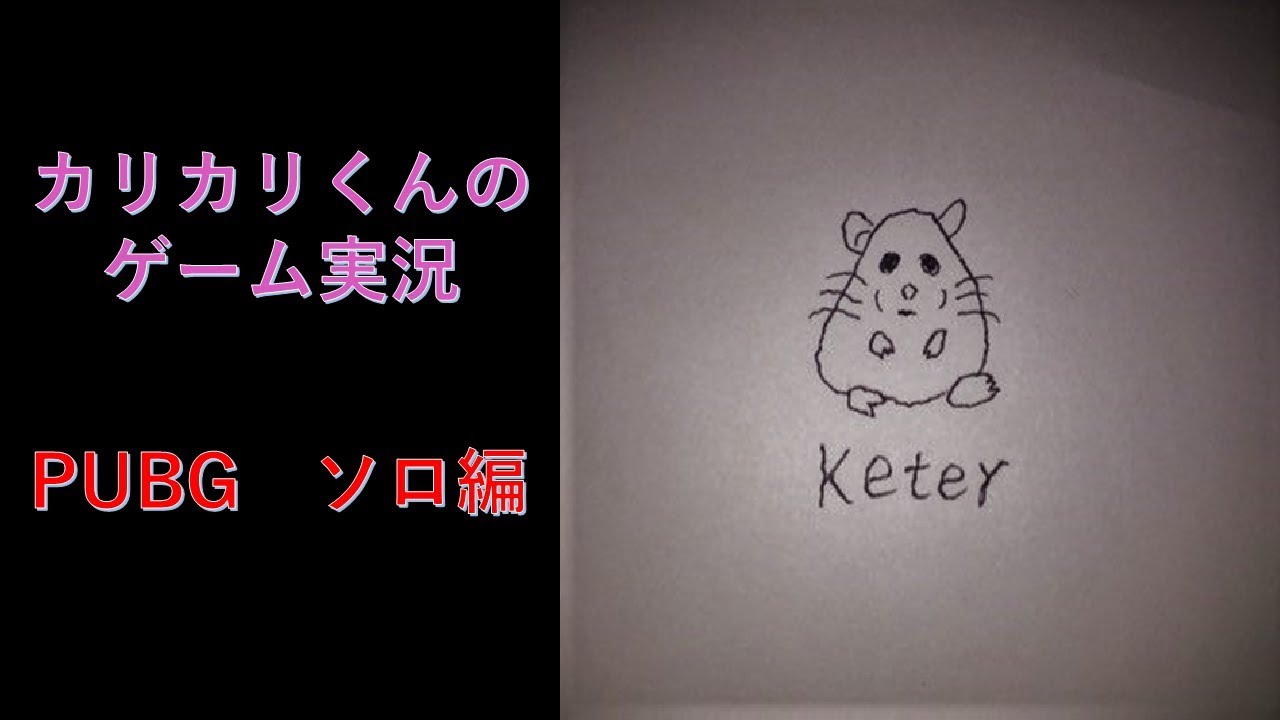 【PUBG 実況】ちょっと🐹【PUBG ライブ】【PLAYERUNKNOWN'S BATTLEGROUNDS】