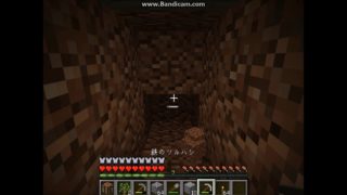 怖がりのマインクラフト【Minecraft】　番外編part34