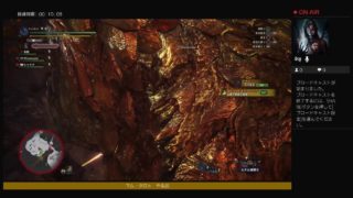 のんびりモンスターハンターワールド[MHW]