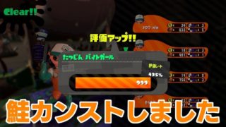 【スプラトゥーン2】自宅警備員(兼 主婦)が野良サーモンランでカンストまで目指す