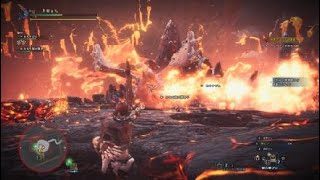 モンスターハンター：ワールド_20180420192114 teo