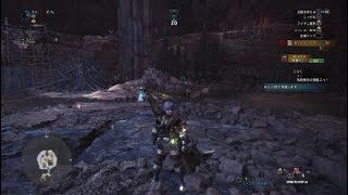 モンスターハンター：ワールド_☆9新大陸の白き風（大剣）