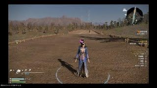 PS4 真・三國無双8 (魏) 甄姬 趙雲を撃破