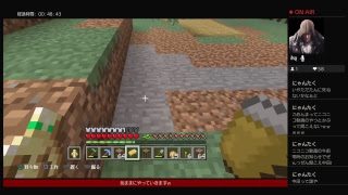 続ー新ニューマインクラフト29