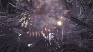 モンスターハンター：ワールド_20180417181601