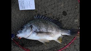 始めたてのスプラトゥーン２　ヒーローモード