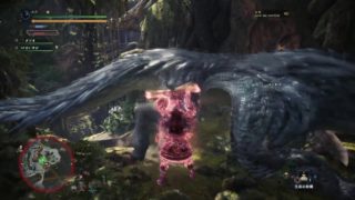 モンスターハンターワールド トビカガチ狩猟