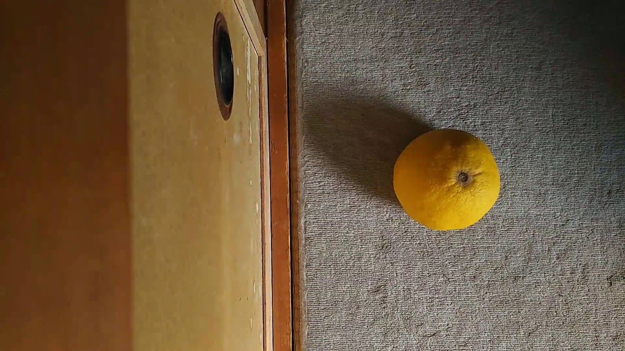 【スプラトゥーン2】【※音量大きめ推奨】ナスティ・マジェスティ♪