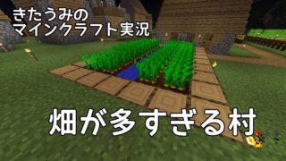 【マイクラ実況】畑の多すぎる村　きたうみのマインクラフト実況9日目