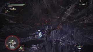 モンスターハンター：ワールド_20180418184924