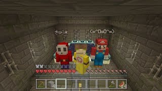 4月25日【マイン クラフト】「雑談マイクラ.....家をたてる！！」