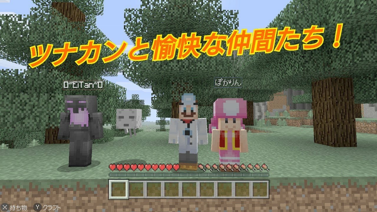 ツナカンと愉快な仲間達part１［switchマインクラフト］