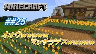 ##25【マインクラフト】太陽の花を敷き詰めた【Asyura】