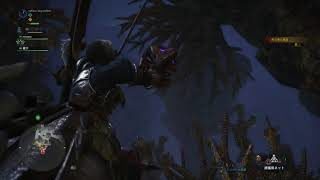 #MONSTER_HUNTER_WORLD @024 #MHW #モンスターハンターワールド
