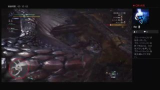 モンスターハンターワールド！　ハンター生活21日目　相棒と狩りに