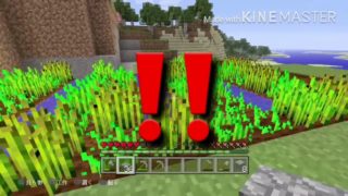 【マインクラフト】不定期配信マイクラ始めました#2