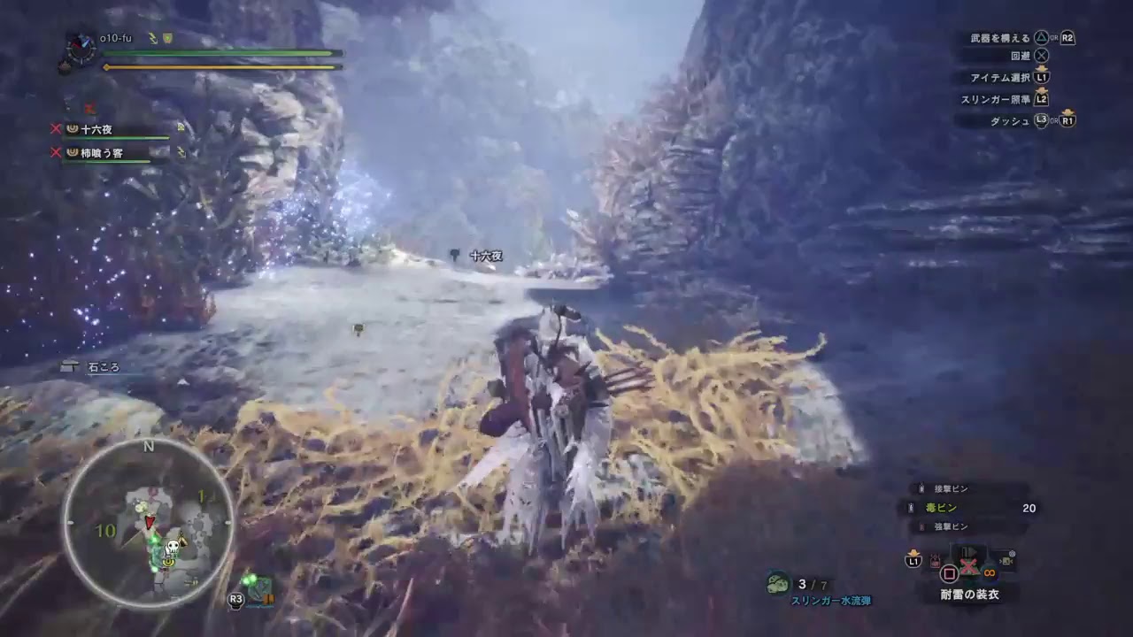 #5【ねーちゃんの今日の配信】モンスターハンターワールド