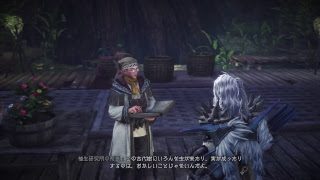 趣味はゲーム、PS4 Pro モンスターハンター：ワールド 43日目