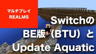 マインクラフト マルチプレイ Part19 REALMSについては、SwitchのBedrock版（BTU）と、Update Aquaticの正式アップデートタイミングで、いろいろ決めたいと思います
