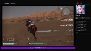 無双8をのんびりプレイ