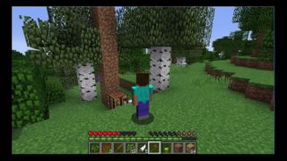 【マインクラフト】Tatsunariのマイクラ実況 PART1  感動の第一回!!