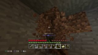 マインクラフトやるー！