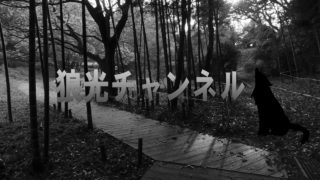 ［真三國無双8・最高難易度修羅］関銀屏を使って12章曹魏政変をクリアさせる配信［LoukoGAME ］