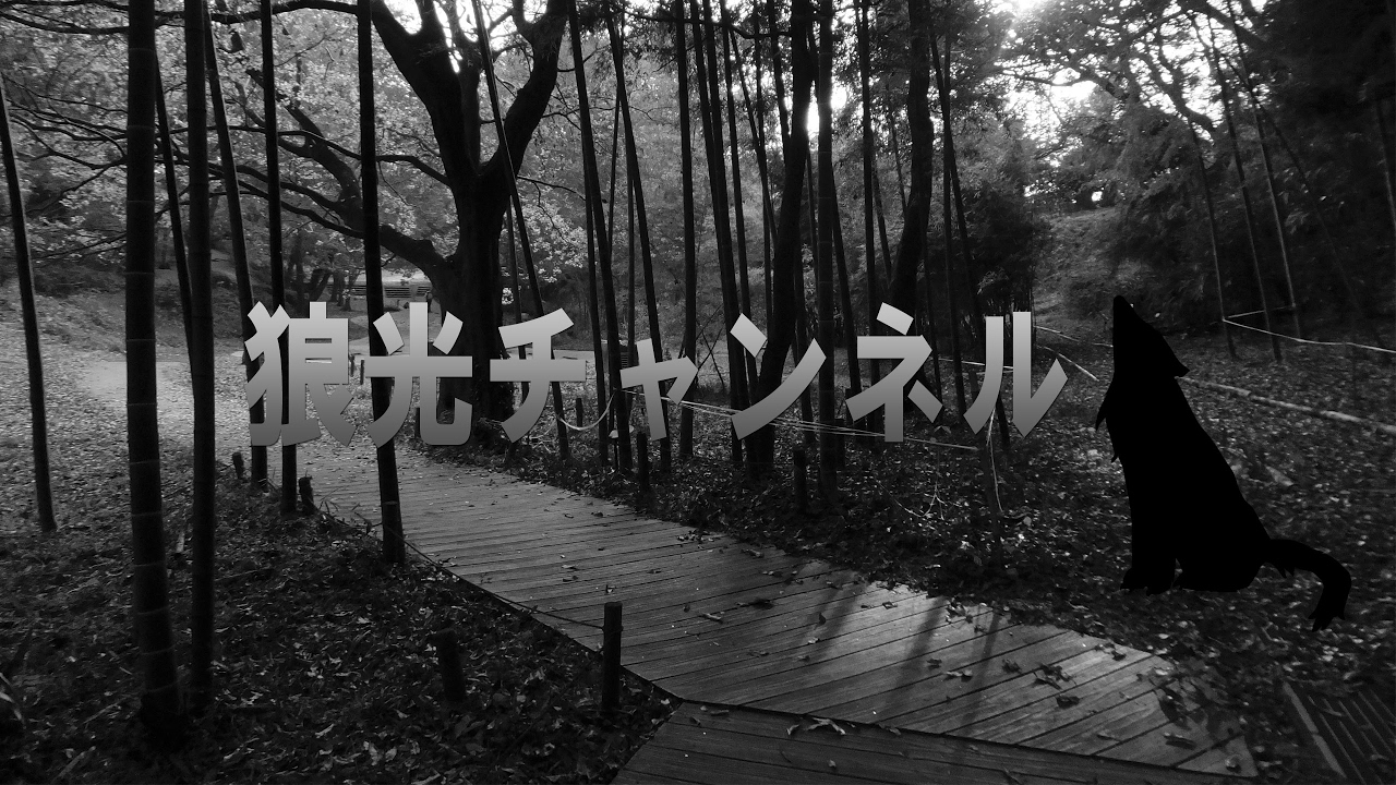 ［真三國無双8・最高難易度修羅］関銀屏を使って12章曹魏政変をクリアさせる配信［LoukoGAME ］