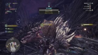 【MHW】モンスターハンターワールドを気ままにやる【Part11】