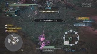 モンスターハンター：ワールド_20180527160958