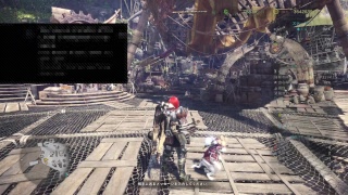 モンスターハンター・ワールド  ナナ・テスカトリ