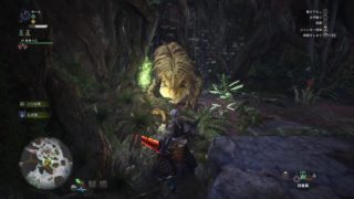 ゆーみちゃんの狩れたら狩るよ モンスターハンターワールド