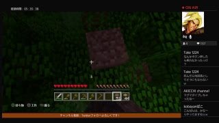 [格ゲー勢が創作する]マインクラフト～戦いに疲れたよ～