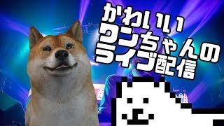 カワイイわんちゃんがスプラトゥーン2フェスやってみるライブ配信