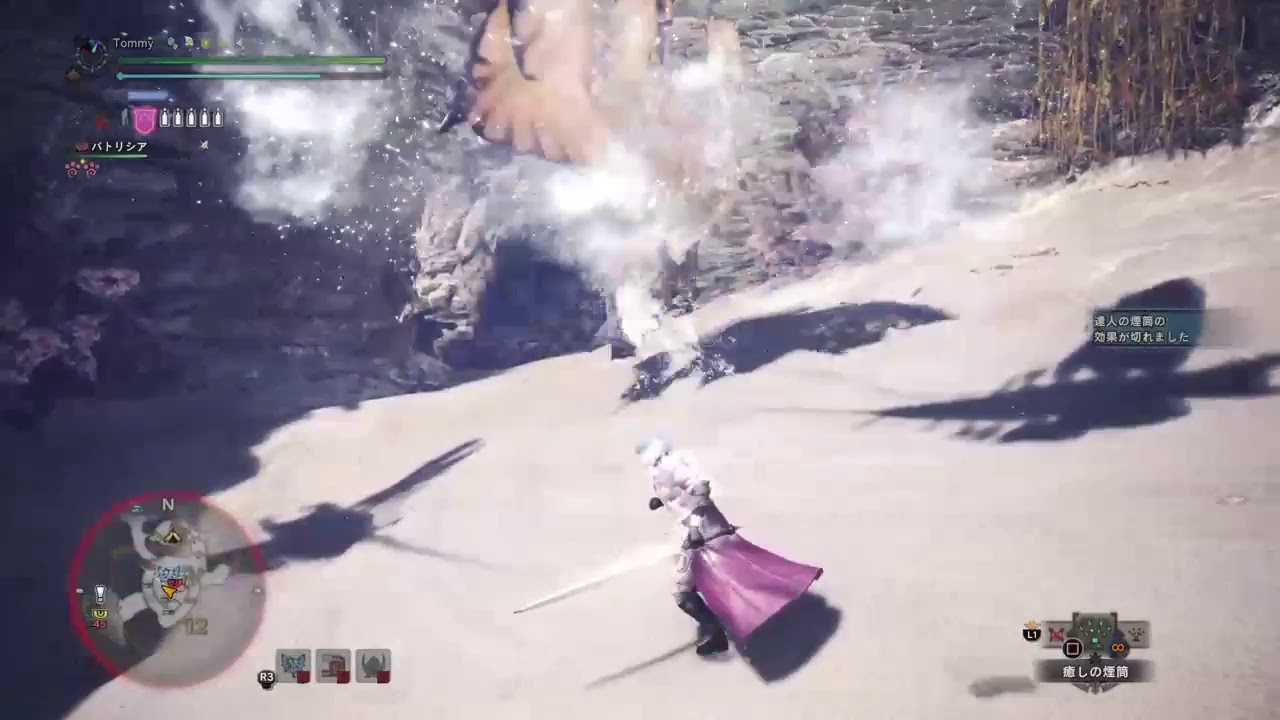 モンスターハンターワールド